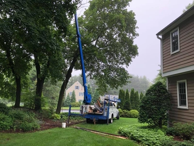 Waterline Repair